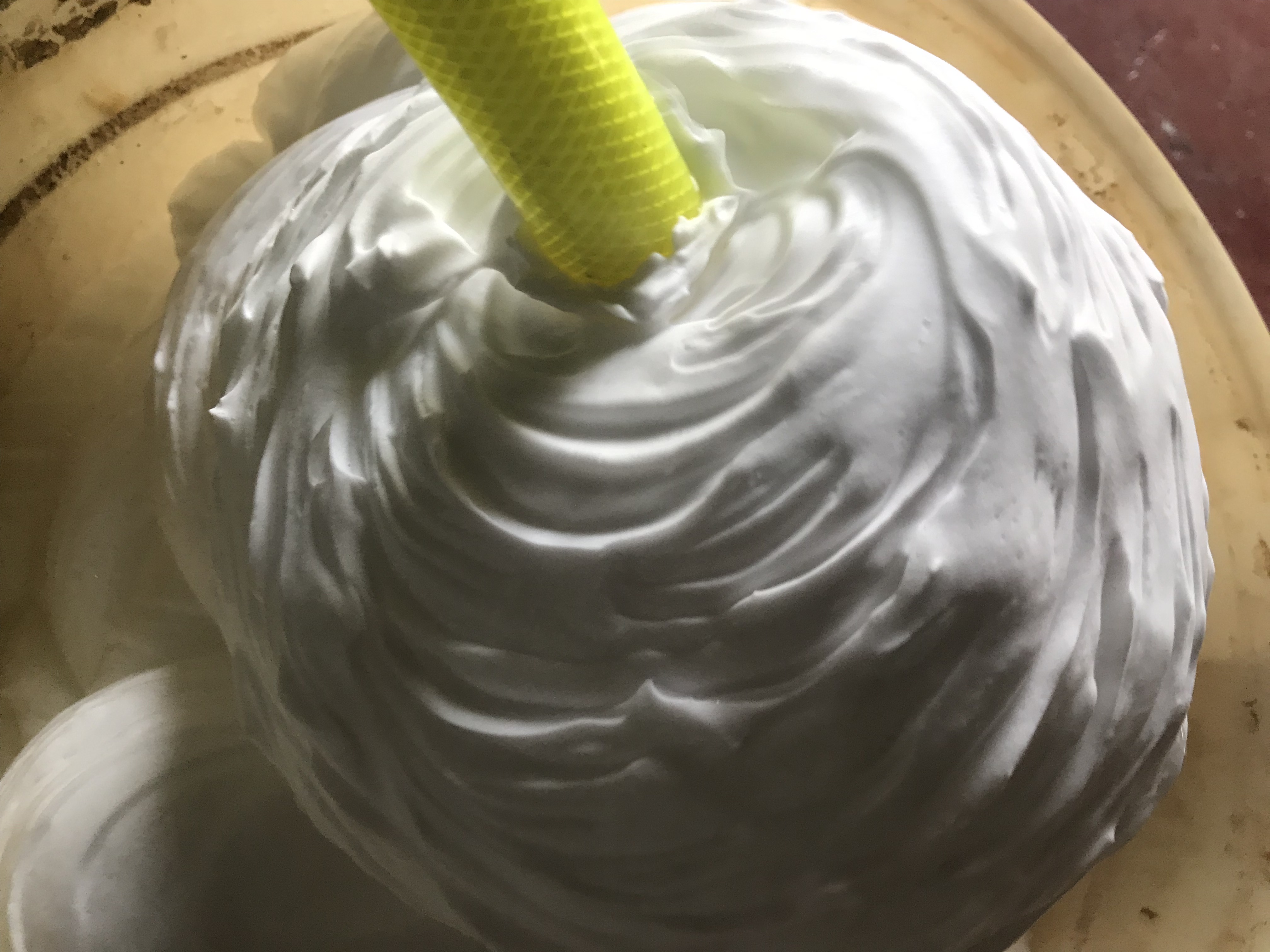 Plant-Based Foaming Agent
